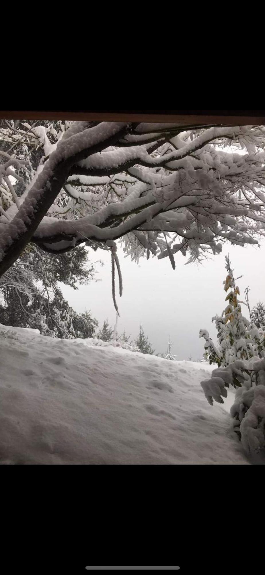 Azul * San Carlos de Bariloche